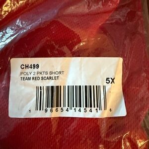 Champion Big Men 5xl shorts